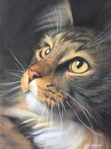 Jonathan Baillargeon