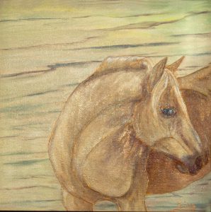 Regard lointain u2013 17X17 po