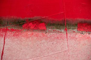 Le passage des saisons IV – 12×18 po