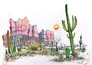 Le saguaros – Arizona – 22×30