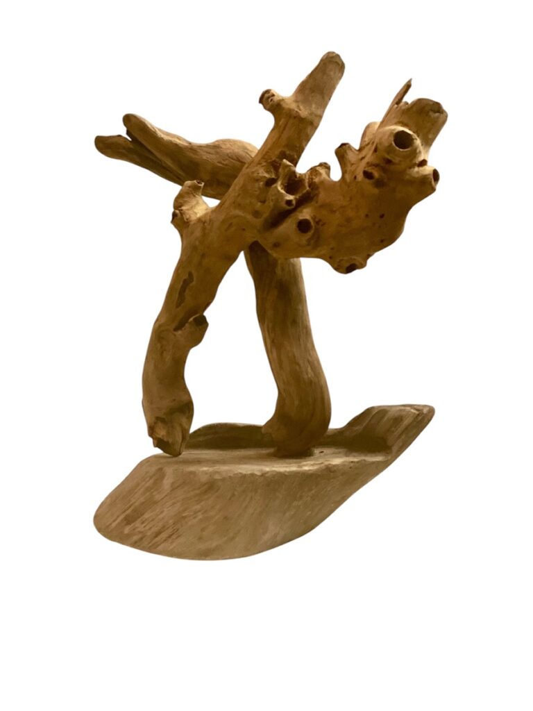 Désertique – 9 x 6,5 po