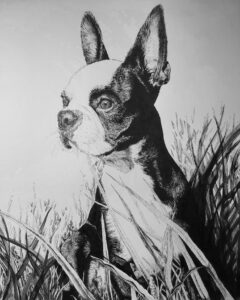 Le chien_1 – 14 x 11 po