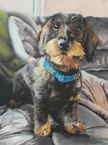 Le chien_2 – 16 x 12 po