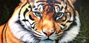 L’oeil du tigre – 24×48 po