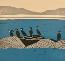 cest quoi ces oiseaux 9x13 po
