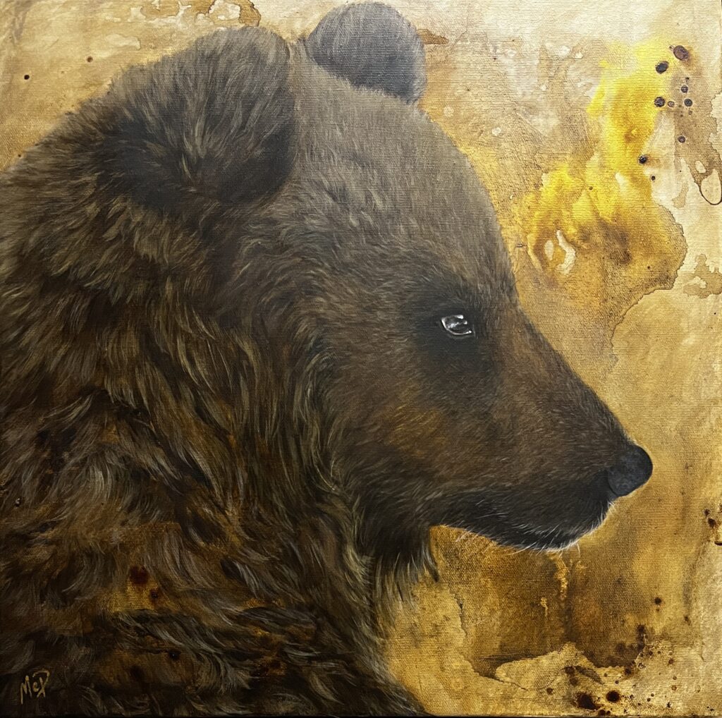 Björn – 16×16 po