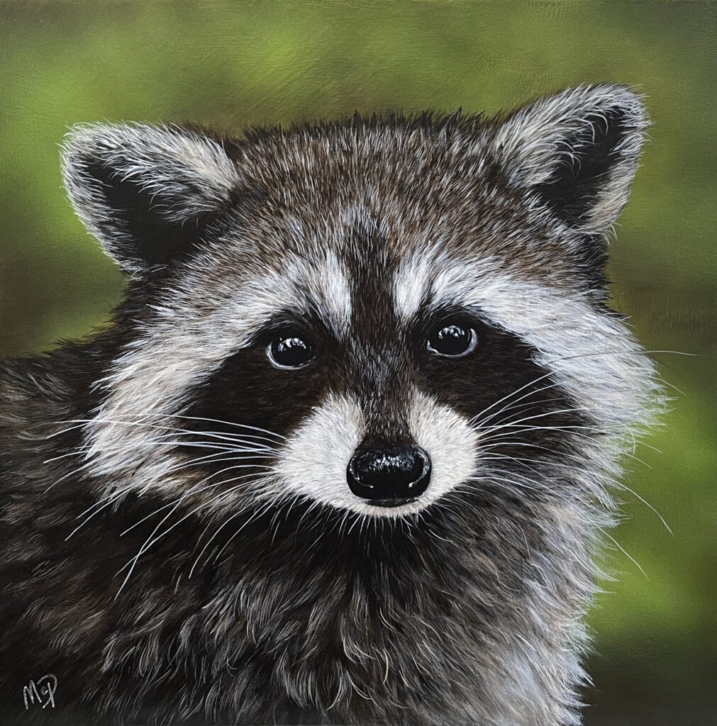 Newton – 12 x12 po