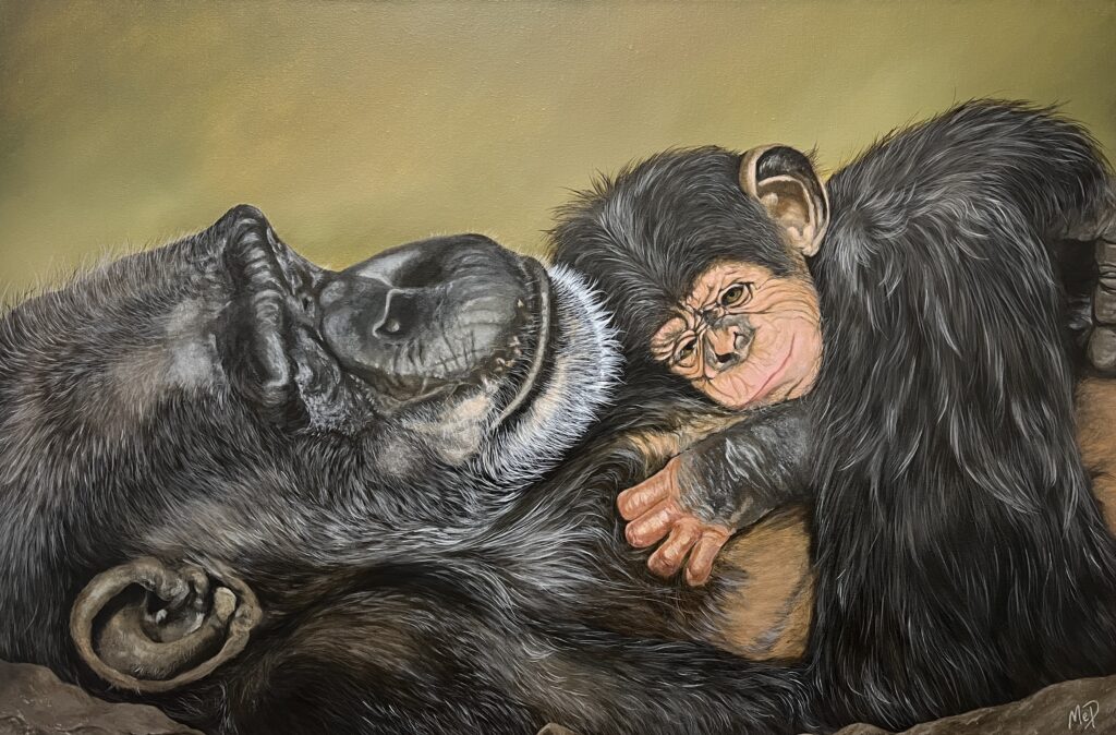 Origines – 30×20 po