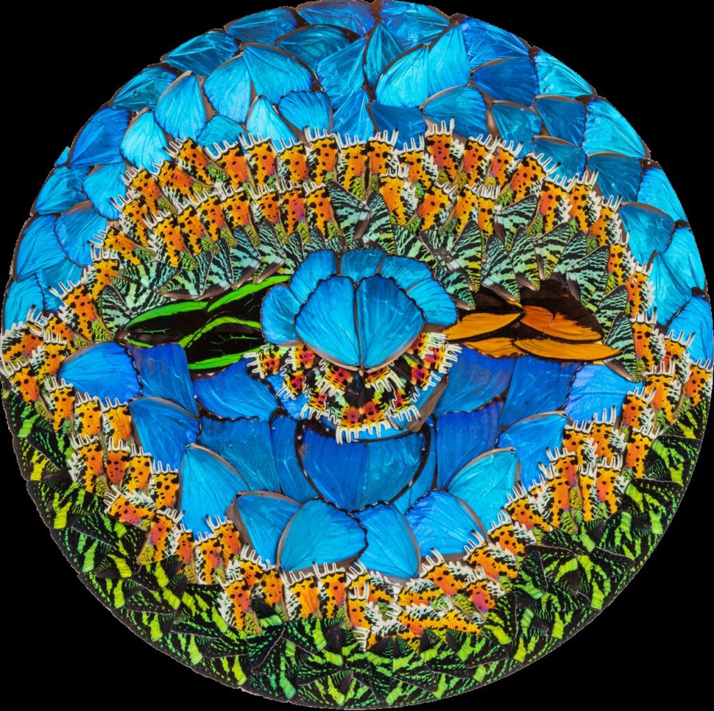 Poésie – 25×25 po