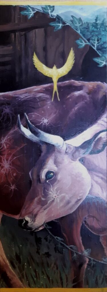 Vache de David u2013 65 x 21 po
